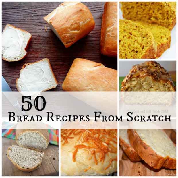 50 Bread Recipes From Scratch - Lil Moo Creations