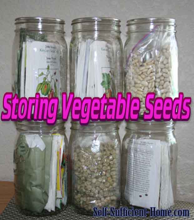 Storing Vegetable Seeds
