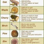 Best Firewood To Burn Chart