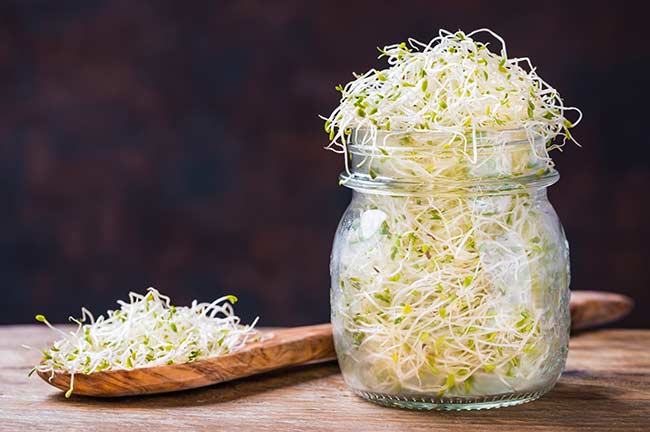 Grow-sprouts-in-a-jar