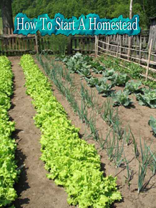 how-to-homestead