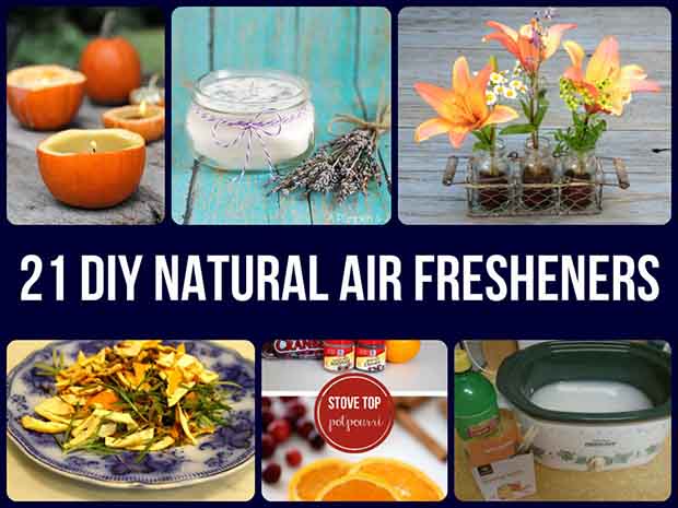 21 DIY Natural Air Fresheners