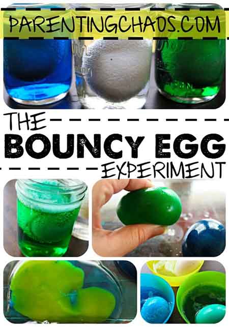 Bouncy Egg Science Experiment for Kids
