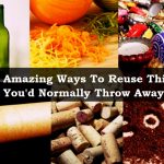 524 Ways to Reuse Things You’d Normally Throw Away