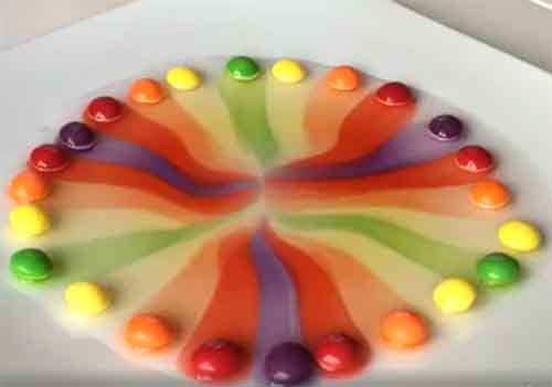 Skittles Science Experiment for Kids